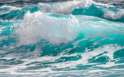 Ocean Breezes